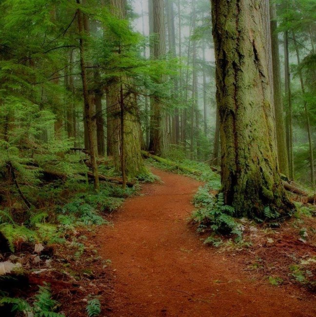 Obituary of Margaret Kathryn Wipf