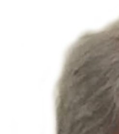 Michael Tsapos Obituary - Springfield, VA