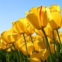 Obituary of Leita Alice Horton