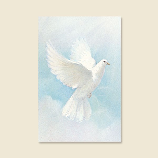 Obituary of Margaret Hayes Clark