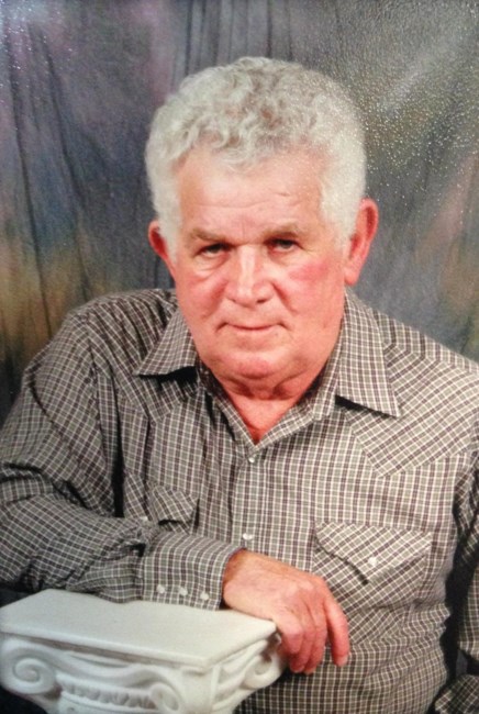 Obituario de Walter L Perkins "Lee" Sr.