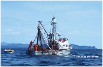 Obituary of Daniel C. Fornuto