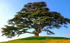 Obituary of Loreta Mae Lee