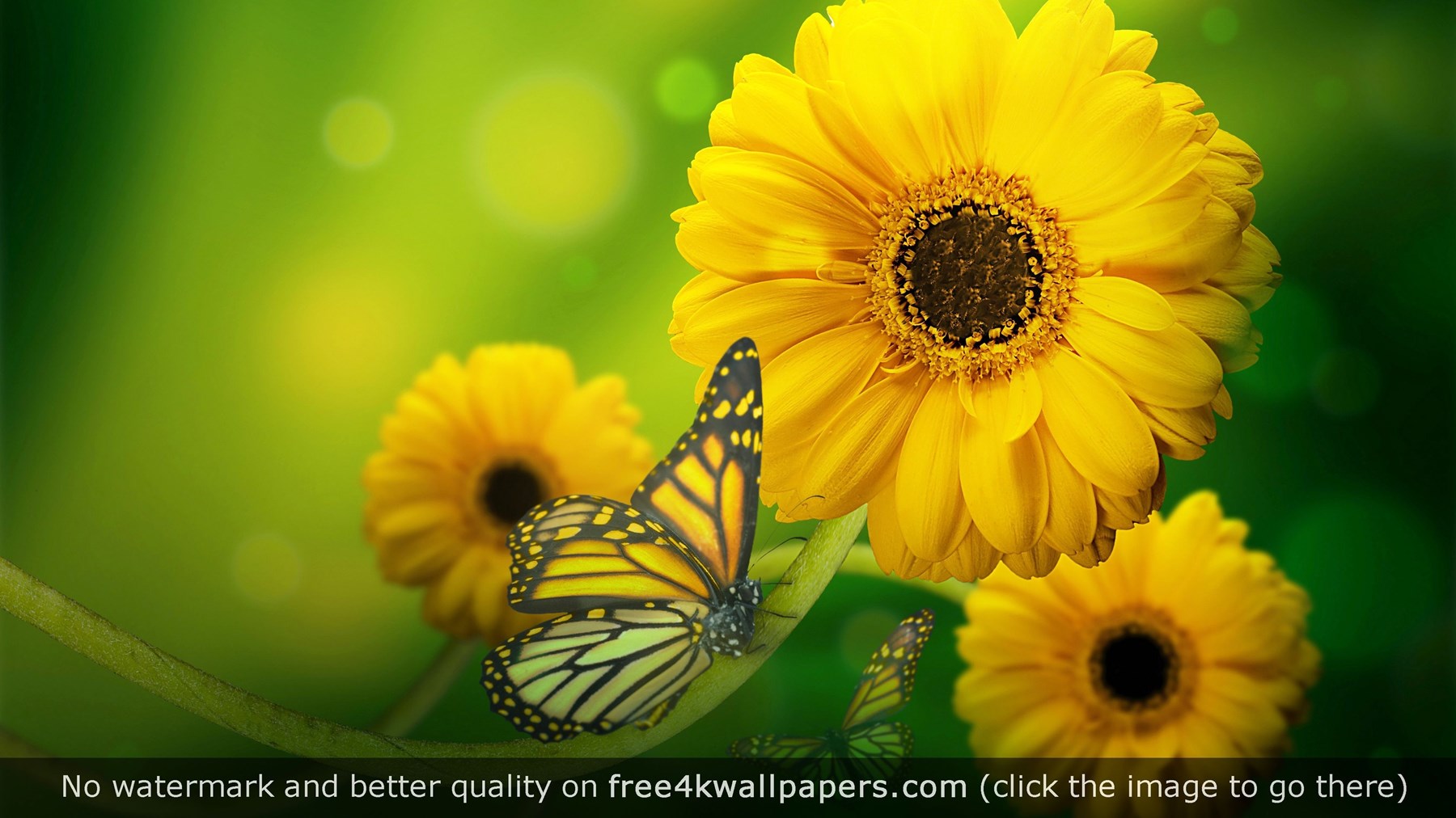 Obituary of Ruth Rubin