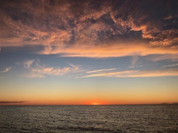 Obituary of Adrienne Phyllis Johnson Mancia
