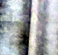 Ricky Martin Obituary Jackson MI ricky-martin-obituary-jackson-mi