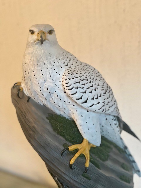 Obituary of Steven Aboff