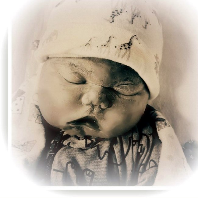 Obituary of Humberto Camillo Haro