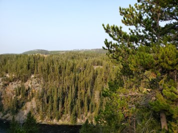 Obituary of Charleen Edna Sager