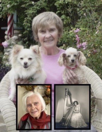 Obituary of Nancy Anne Quick McHugh