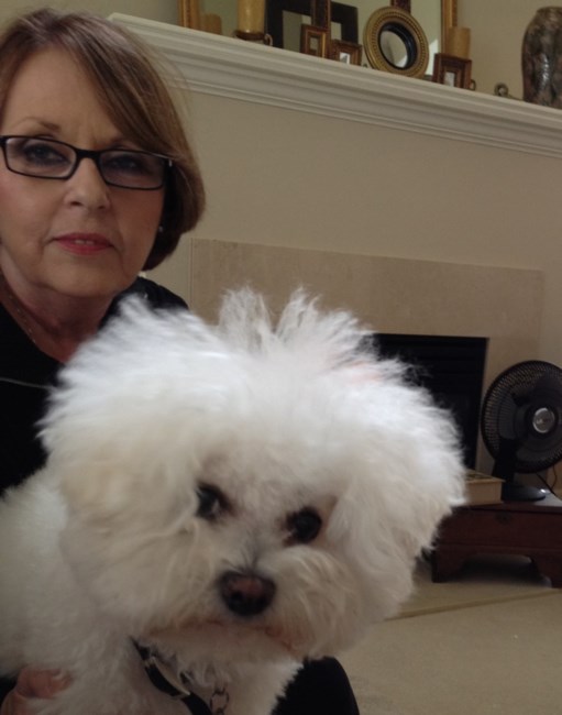 Obituary of Lynne S Schairer