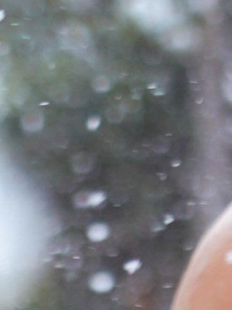 Daniel Rice Obituary - Wheat Ridge, CO