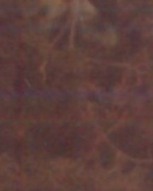 Barbara Dorothy Krohn Obituary Glendale, AZ