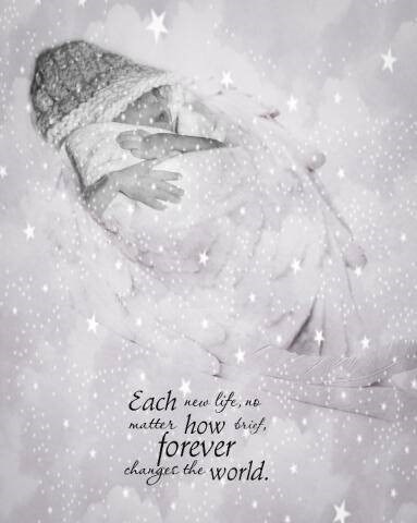 Obituary of Angel Mari Rose Cato