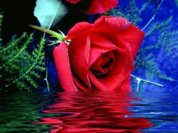 Obituary of Wanda Penrod