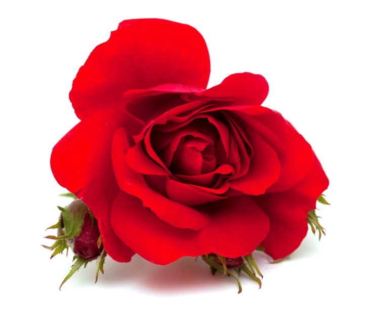 Obituary of Mary Jane Rahm Burke