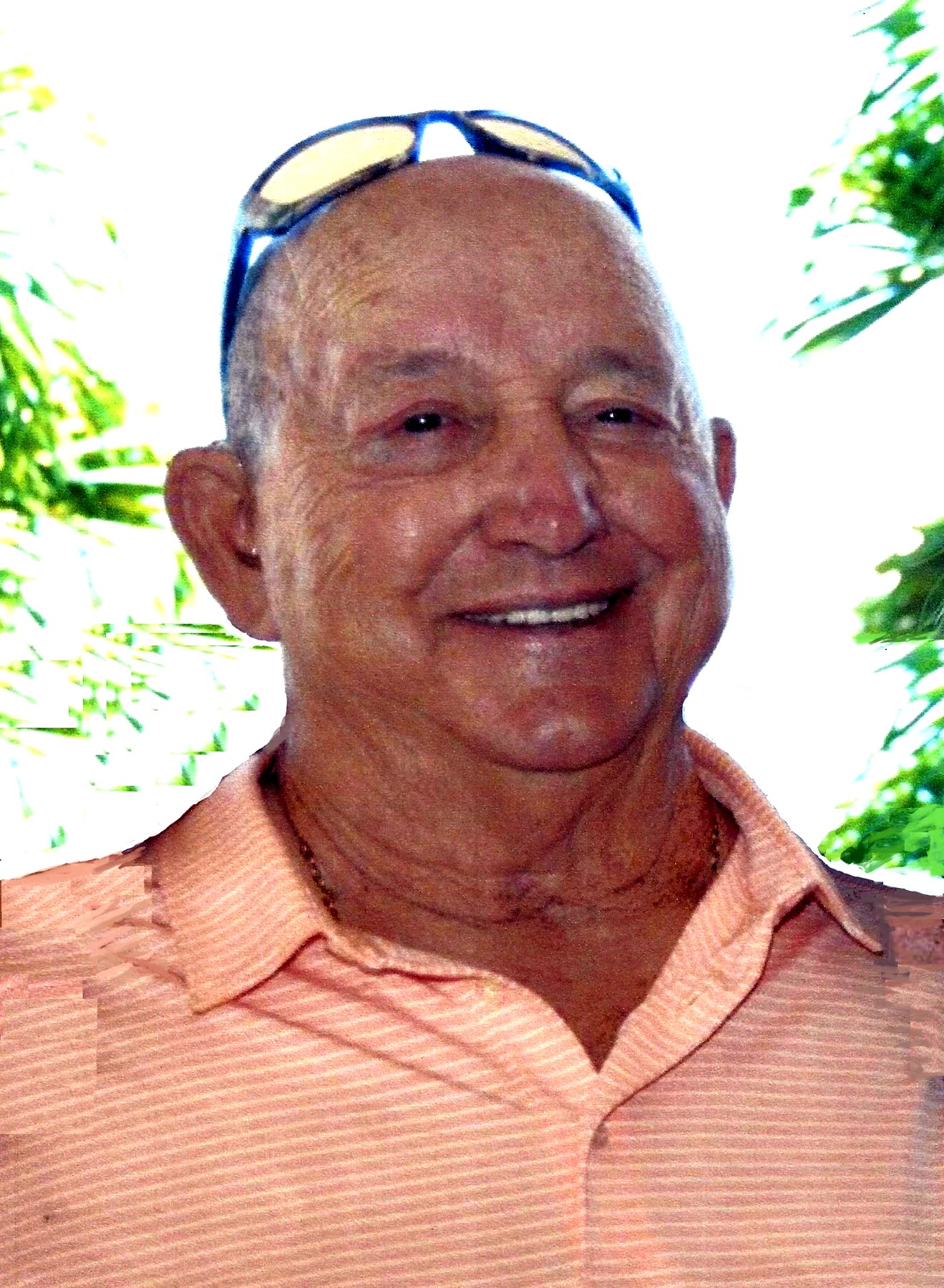 Vernon Vincent Violette Obituary Palm Bay, FL