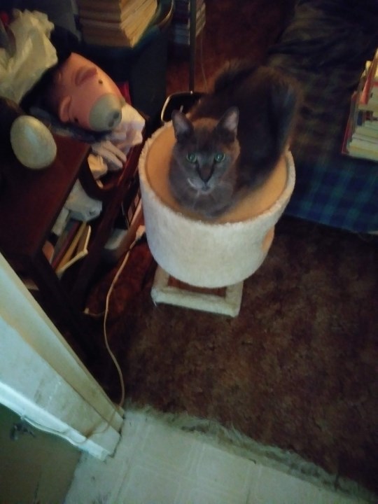 Obituary of John Richard Davidson