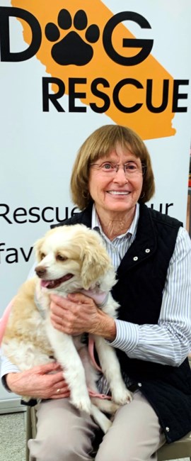 Obituary of Marjorie Lynne Peters