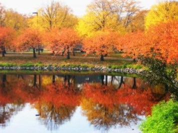 Obituary of Joseph Caruso