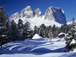 Obituary of Eunice Elizabeth Bird