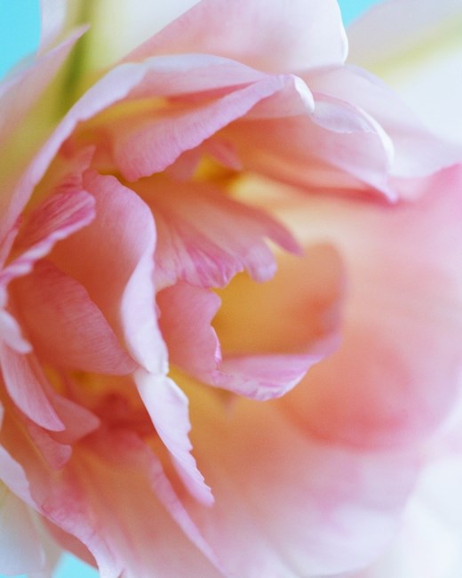 Obituary of Eleanor Matthews Jacobs