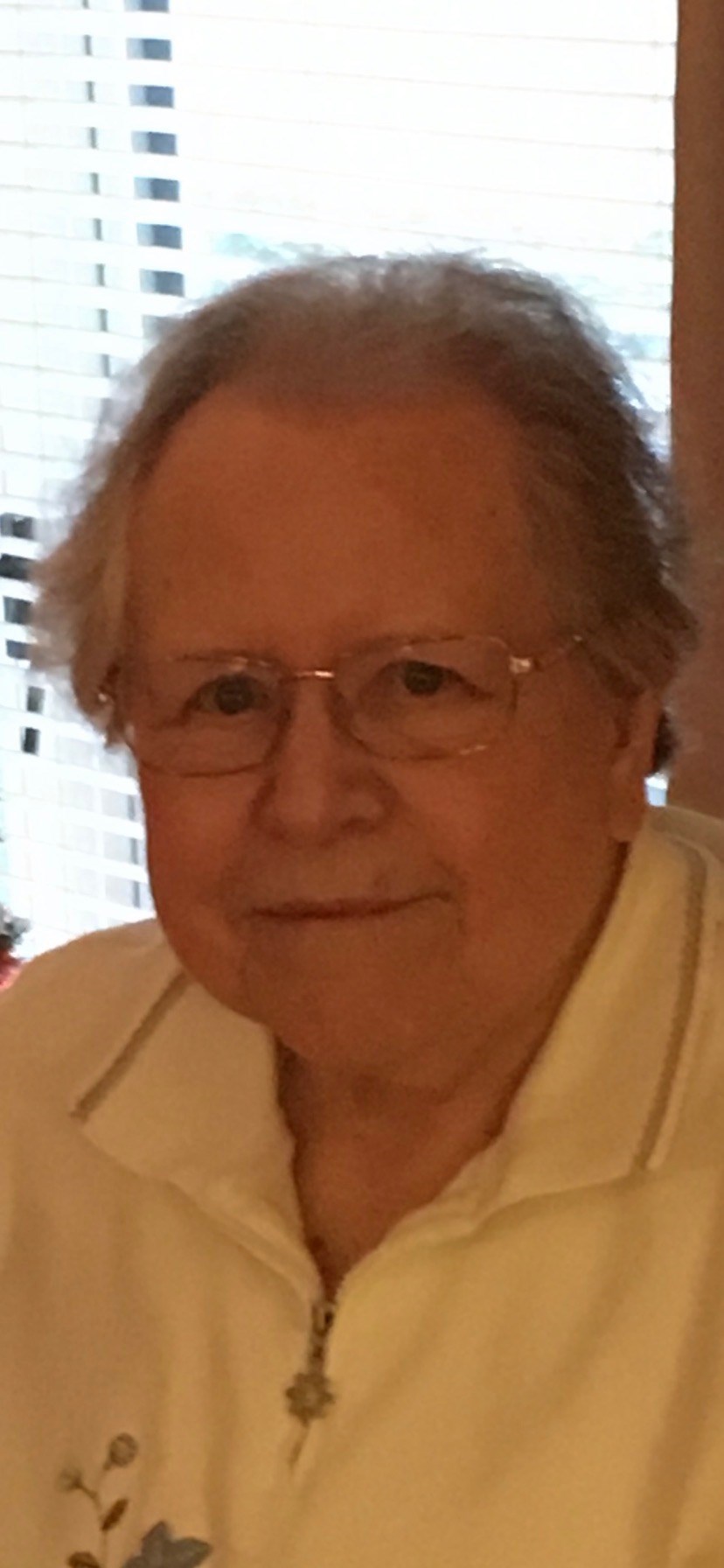 Doris Ann Angeline Obituary Levittown, PA