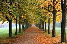 Obituary of Thomas Joseph Coulthard III