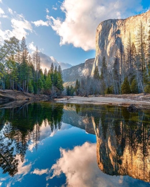 Avis de décès de Elaine Naomi Honda