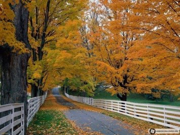 Obituary of Archie Wallace Laster