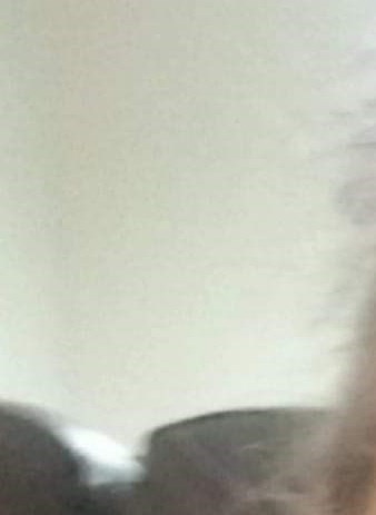 Maria Ruelas Obituary - Omaha, NE