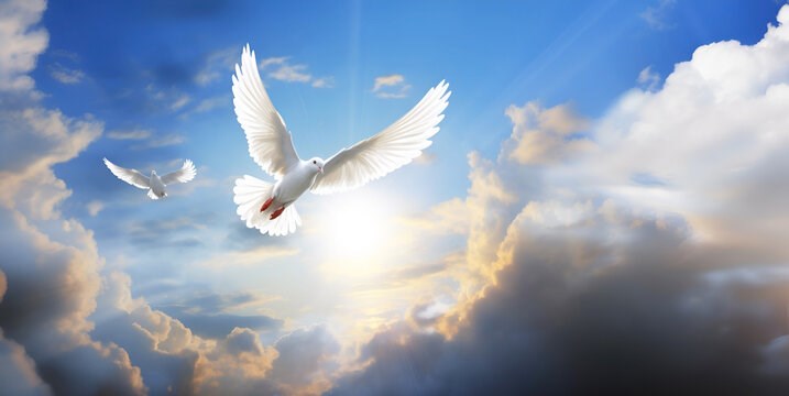 Obituary of Edith Victoire Gilhuys