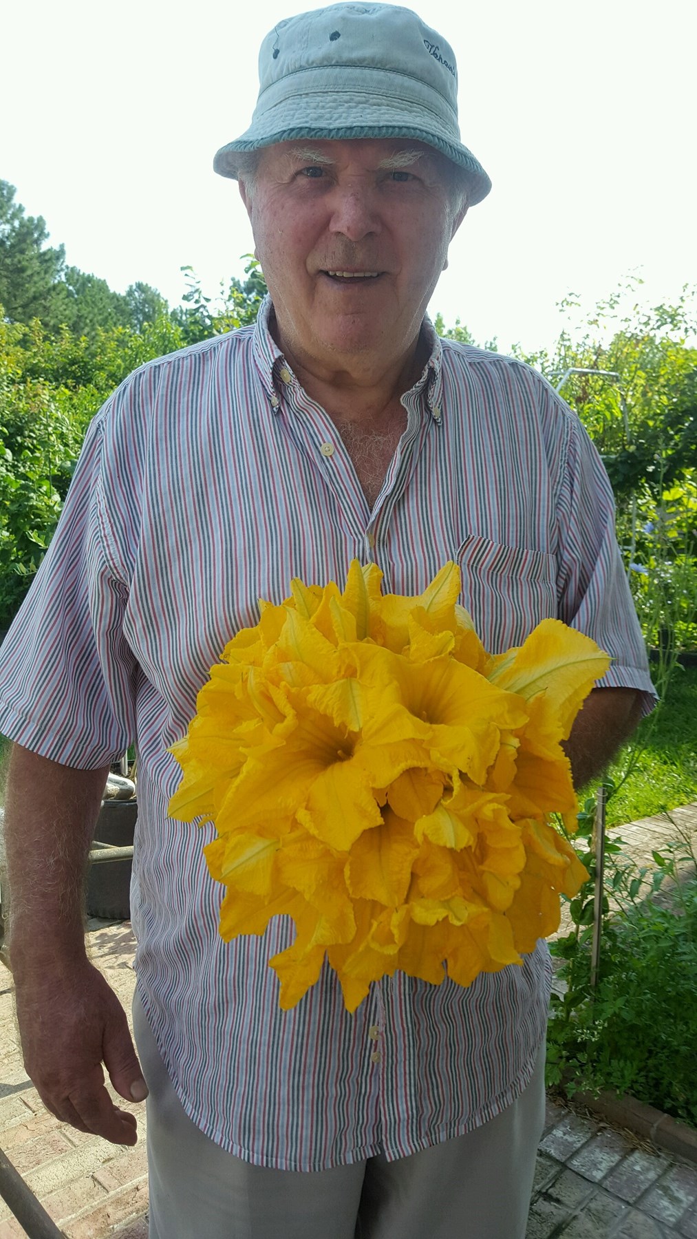 Obituario de Silverio D'Amico