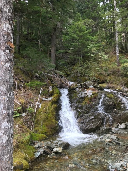 Obituary of Richard William Romanchuk