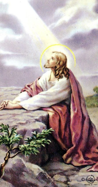 Obituario de Mr. Guillermo enriquez Cruz