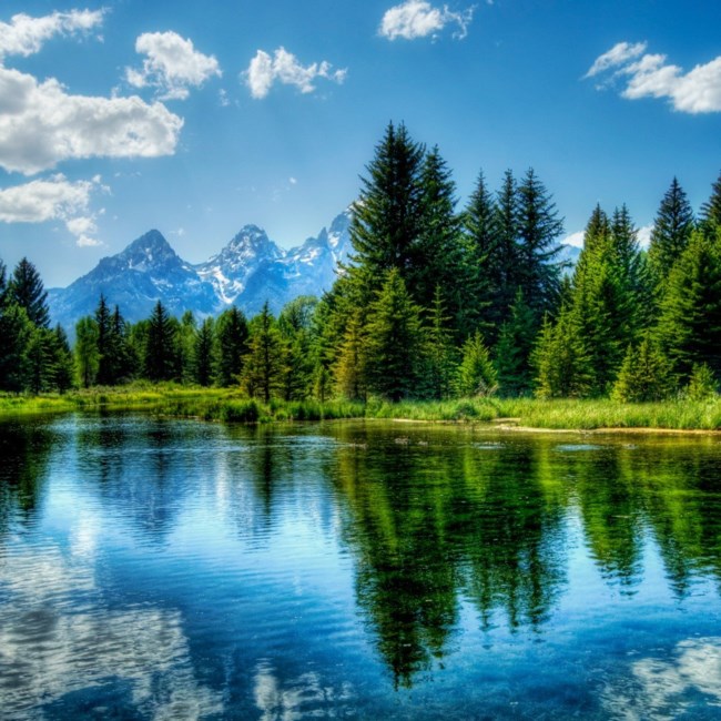 Obituary of Clyde J. Wilkerson