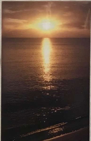 Obituary of Diana Davis Rulon