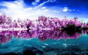 Avis de décès de Lawrence Nagy