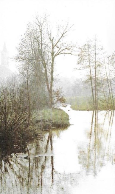 Obituary of Miguel Fernando Diaz