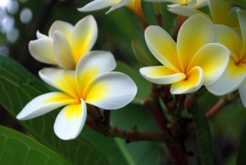 Obituary of Mary E. Hinkle