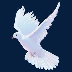 Obituary of Celine Sandoval Barbosa