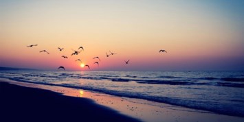 Obituary of James Ronald Anderson