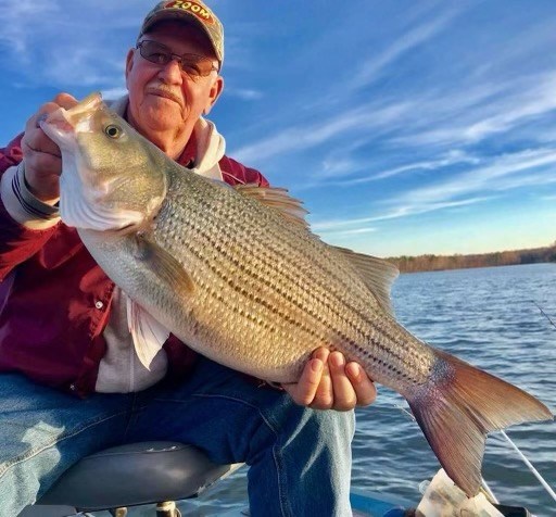 Obituario de Larry Douglas "Doug" Thompson