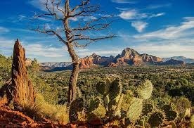 Obituary of Jose Ramon Romero Guerrero