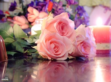 Obituary of Virginia Lee Mead