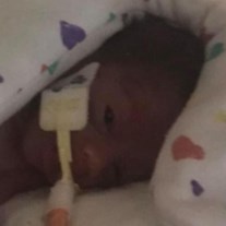 Obituary of Giovanni Nicholas Orcutt