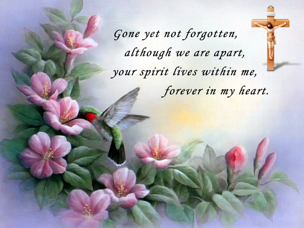 Obituary of Donna Massucci