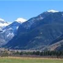 Obituary of Alice ""Pat Bernice Cleary