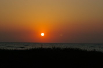 Obituary of Renee K