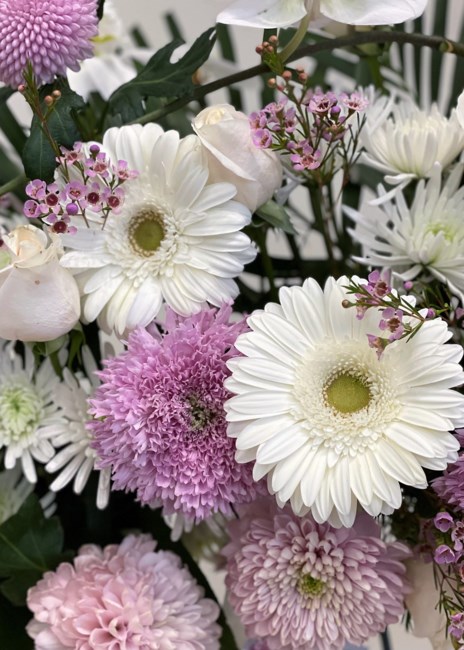 Obituary of Janice Holliday Mahood